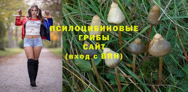 индика Абинск