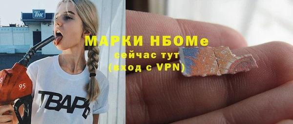 индика Абинск