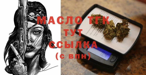 индика Абинск