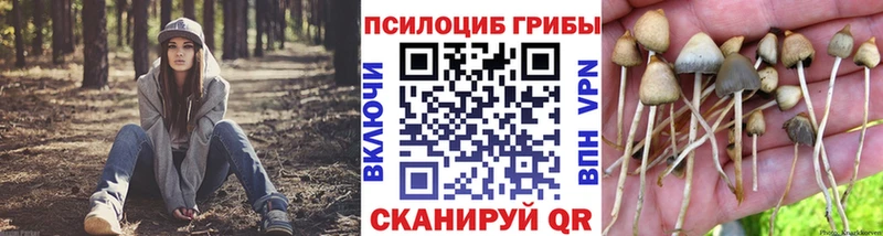 Галлюциногенные грибы Magic Shrooms  наркошоп  Агидель 