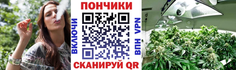 Каннабис семена  Агидель 